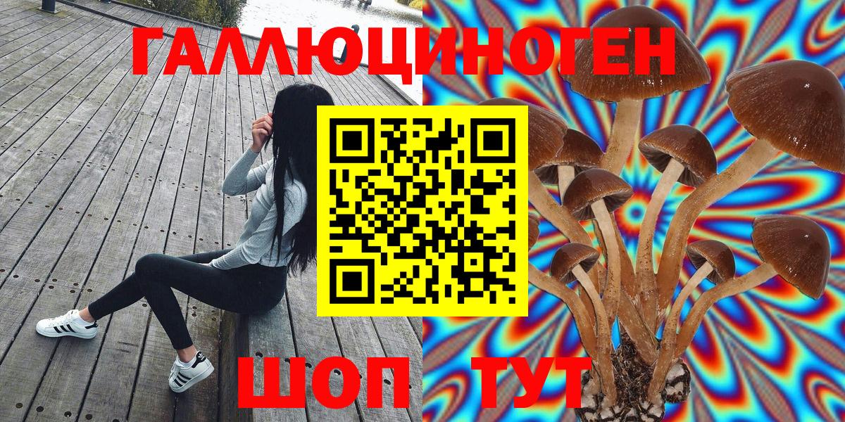 Галлюциногенные грибы Psilocybe Альметьевск